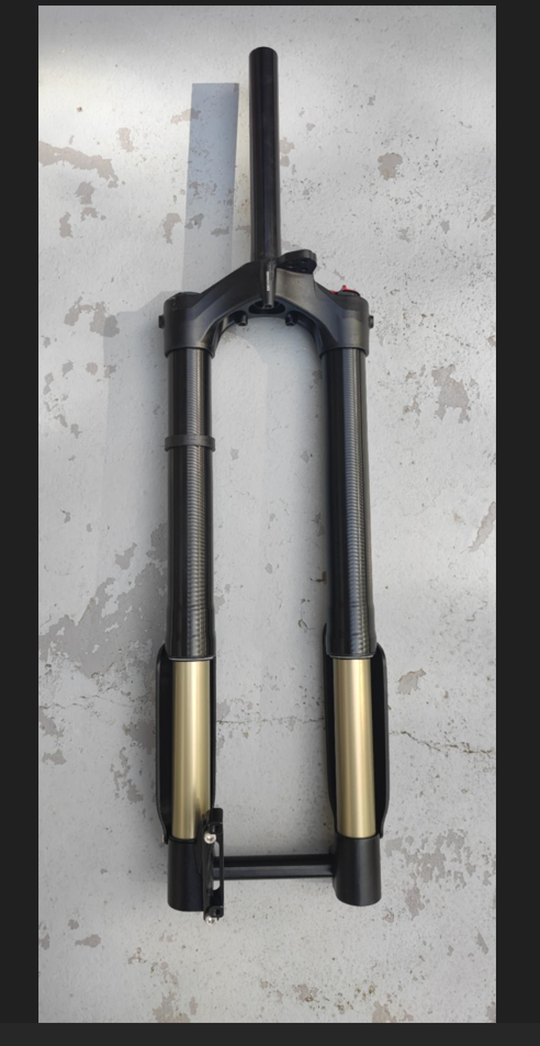 Surron Front Fork Assy. (KKE)