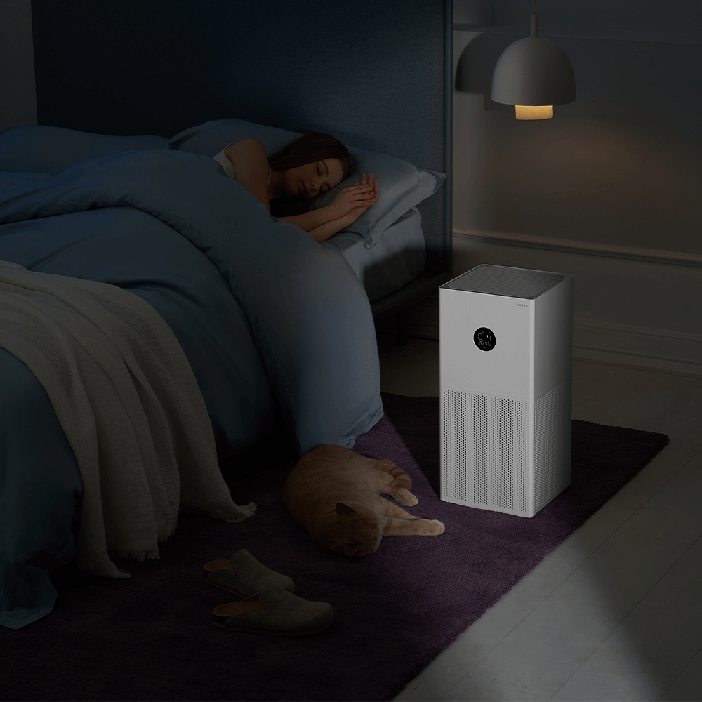 Xiaomi Smart Air Purifier 4 Lite Filter