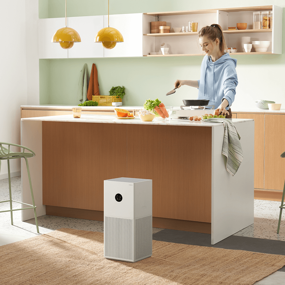 OPEN BOX-Xiaomi Smart Air Purifier 4 Lite Filter